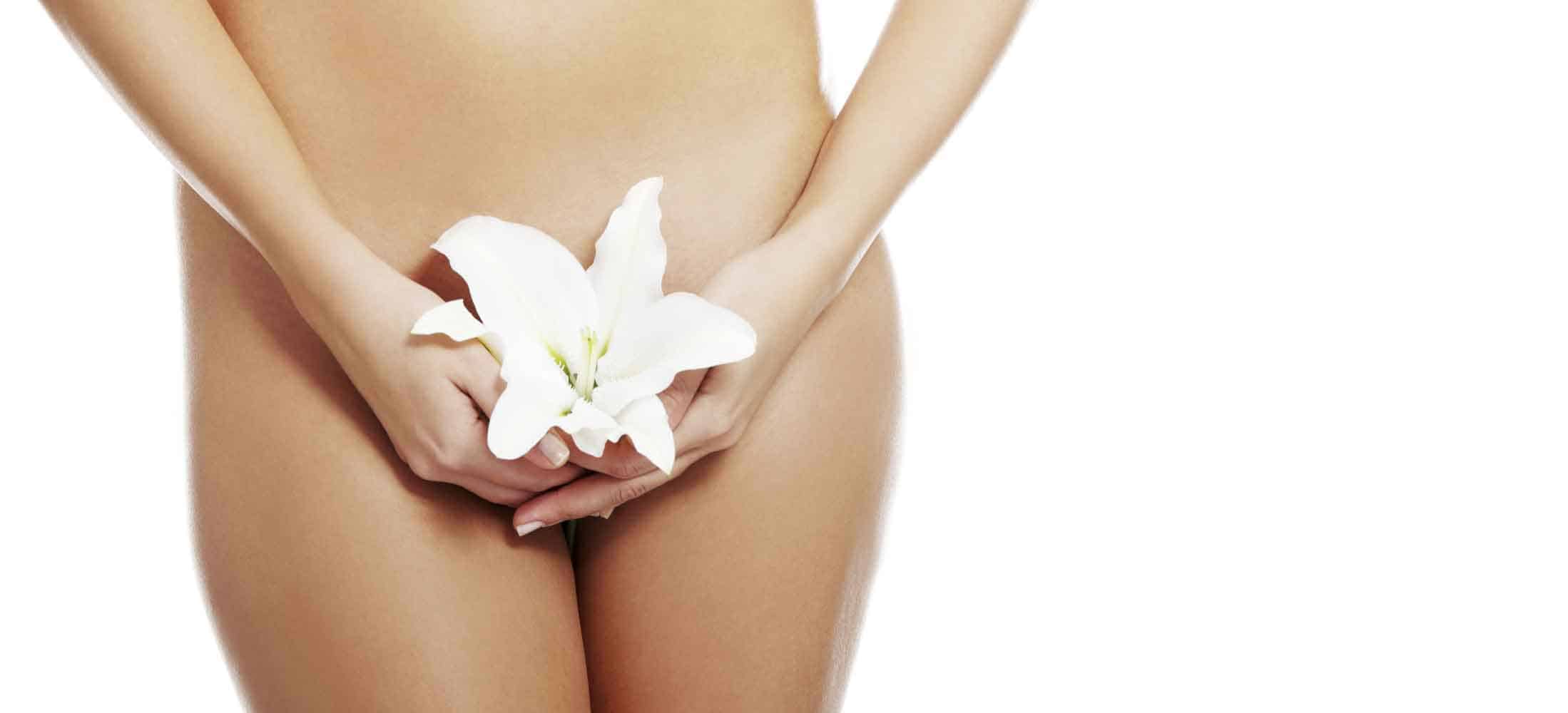 labio-plastica
