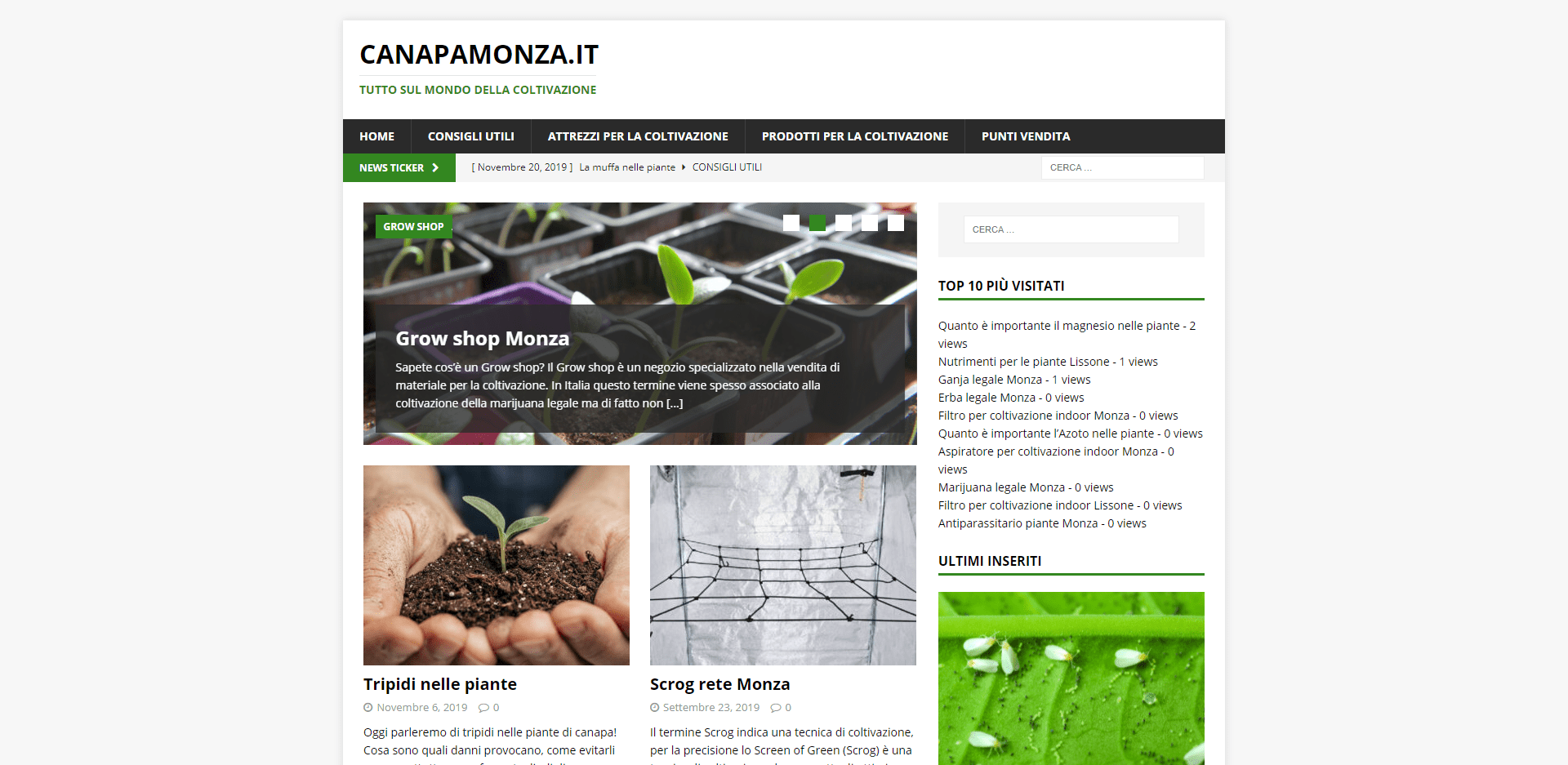 canapamonza.it-nuovo-portale